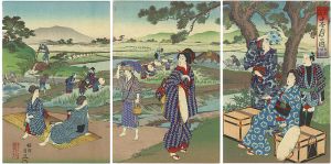 Chikanobu / 江戸風俗十二ヶ月の内 五月田植之図 [江戸風俗十二ヶ月の内 五月田植之図]