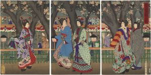 Chikanobu / 全盛廓の梅 [全盛廓の梅]