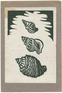 Shells