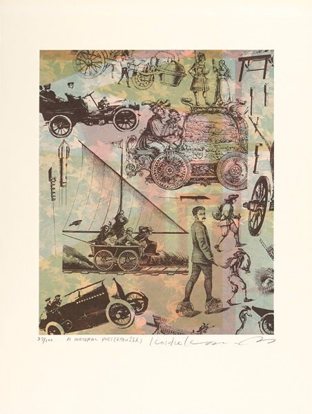Kimura Kosuke “A Natural Poet　（天性の詩人）”