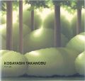 KOBAYASHI TAKANOBU：Far Light