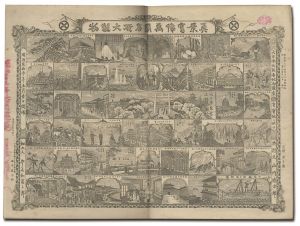 Tokiwa Tomisaburo / 真景寫像万国名所大観物 [真景寫像万国名所大観物]