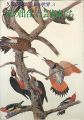 私の出合った芸術家たち 久保貞次郎 美術の世界3