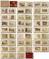 Japanese Photographs of the Me......