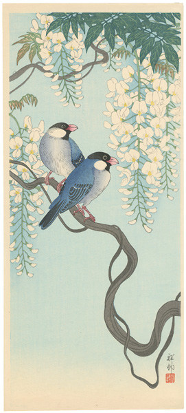 Ohara Koson(Shoson) “Birds and Wisteria”