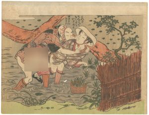 Harunobu / Shunga [春画]