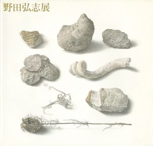 明晰なる神秘 野田弘志展
