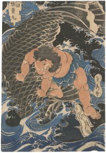 坂田怪童丸