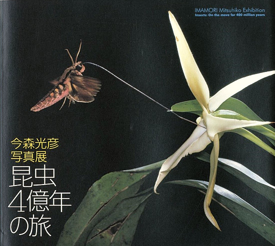 “今森光彦写真展 昆虫4億年の旅” 