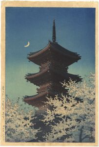 Toshogu Shrine in Spring Dusk