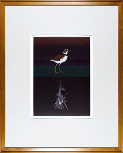 Kayama Matazo / Plover and Venus Comb 1989