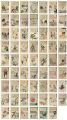 Hurrah for Japan!　100 Collecte......