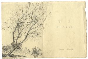 Komai Tetsuro / Greeting Card