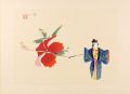 ハイビスカス（仮題）