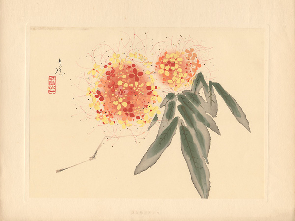 Ishizaki Koyo “from New Flowers-and-birds drawing”