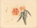 from New Flowers-and-birds dra......