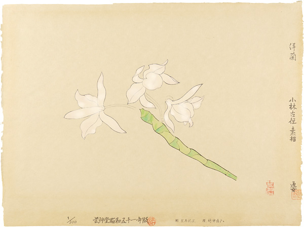 Kobayashi Kokei “Orchid”