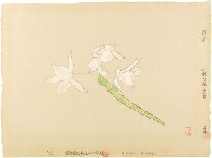 Kobayashi Kokei / Orchid