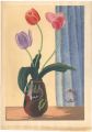 Tulip