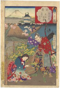 雪月花　武蔵　高田花　太田道灌