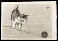Cat (tentative title) 
