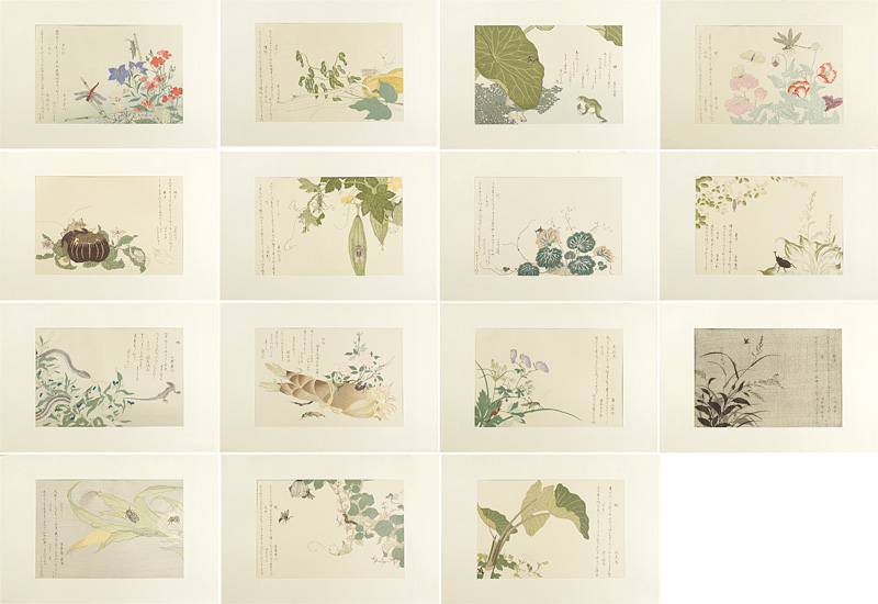 Utamaro “Selection of Insects : set of 15【Reproduction】”