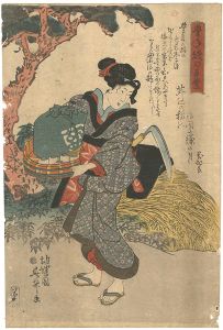 豊年織の手業