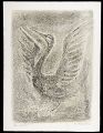 作品（飛びたつ鳥）