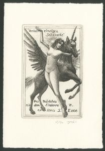 Meiner einzigen Sehnsucht Das Madchen mit dem Einhorn VI.