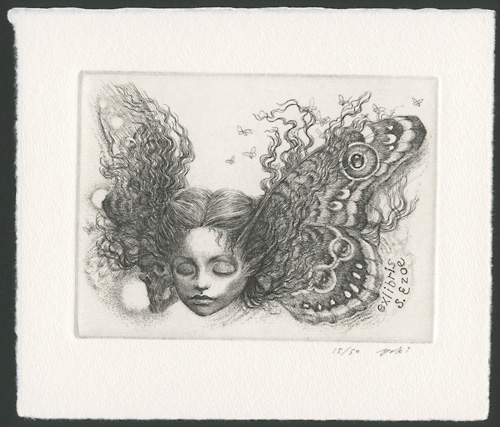 Hayashi Yukiko “Ex Libris ”