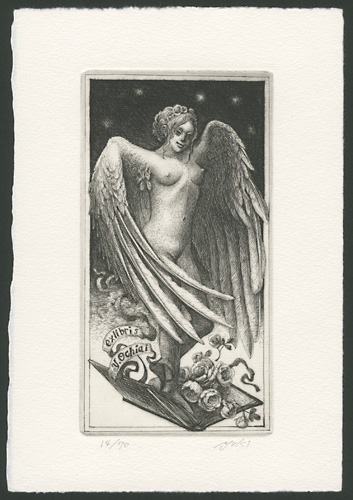 Hayashi Yukiko “Angel of The Bibliophile”