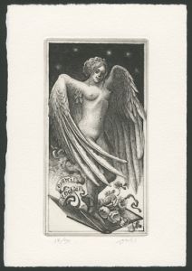 Angel of The Bibliophile