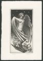 Angel of The Bibliophile
