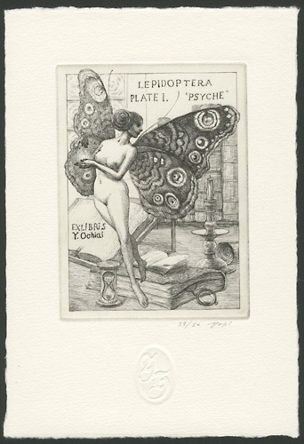 Hayashi Yukiko “LEPIDOPTERA PLATE 1. PSYCHE”