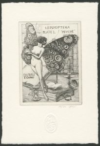 LEPIDOPTERA PLATE 1. PSYCHE