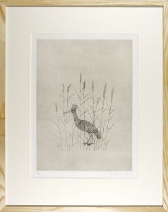 南桂子「鳥」