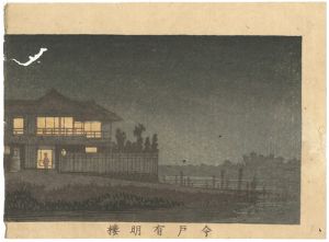 True Pictures of Famous Places of Tokyo / Ariakero Restaurant, Imado