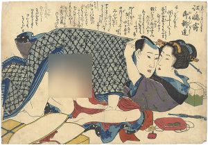 狂哥題恋の道草より 江ノ嶋寄御新造