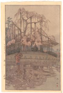 櫻八題　春雨