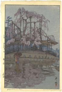 8 Scenes of Cherry Blossom／Spring Rain
