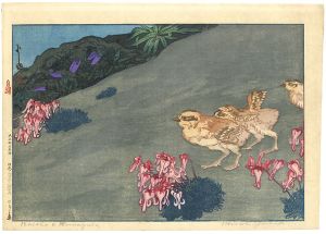 日本アルプス十二題の内　雷鳥とこま草