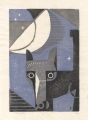 Cat in the Moonlit Night