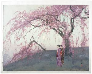 Kumoi Cherry Trees