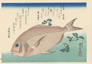 Hiroshige I / A Series of Fish Subjects / Sea Bream and Sansho 【Reproduction】 [魚づくし　鯛に山椒 【復刻版】]