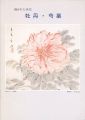描かれた名花 牡丹・芍薬