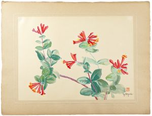 Oguri Yoshiji / Trumpet Honeysuckle
