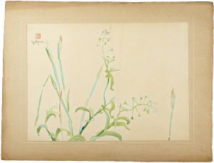 Oguri Yoshiji / Shepherd’s Purse