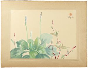 Oguri Yoshiji / Chinese Plantain