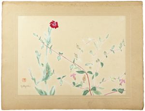 Oguri Yoshiji / Bladder Campion