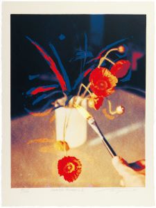 Taniguchi Shigeru / PAINTED FLOWER-L,E,